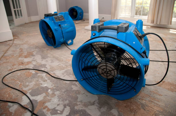 Best 24-hour water damage restoration  in Kenwood Estates, FL