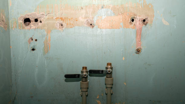 Best Sewage cleanup and water damage restoration  in Kenwood Estates, FL