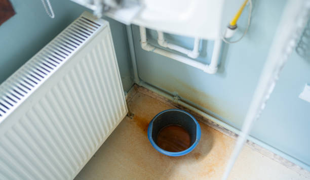 Best Basement water damage restoration  in Kenwood Estates, FL