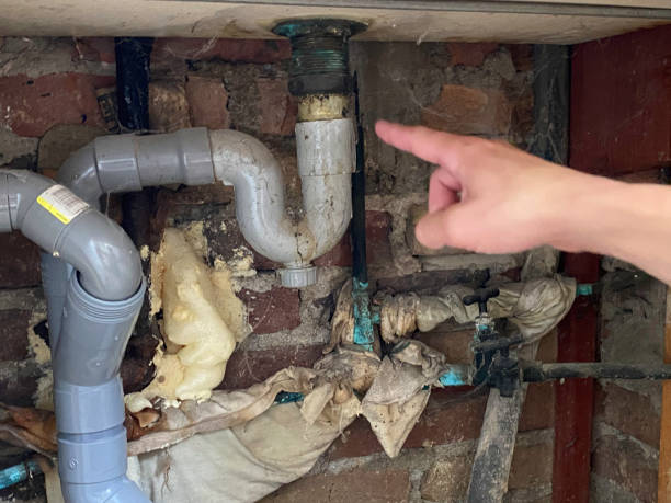Best Flood damage cleanup  in Kenwood Estates, FL