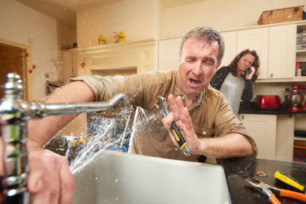 Best Mold removal after water damage  in Kenwood Estates, FL